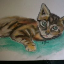 Kitten in Pastel