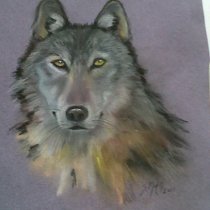 Wolf Totem Pastel sketch