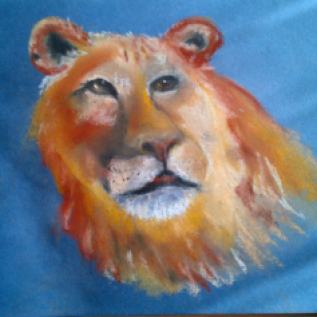 Young Lion a Quick Pastel Drawing