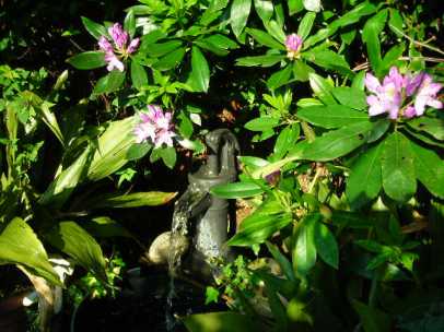 Water feature under the Rhododendron bush