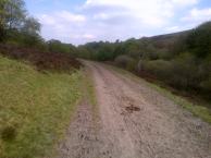 Walking an old coach path along Ramsley Moor.