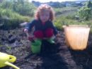 Our Two and a Half year old Granddaughter digging in the allotment with me.. Finding worms for the home compost bin :-) She found two.
