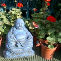 Geraniums with Buddha