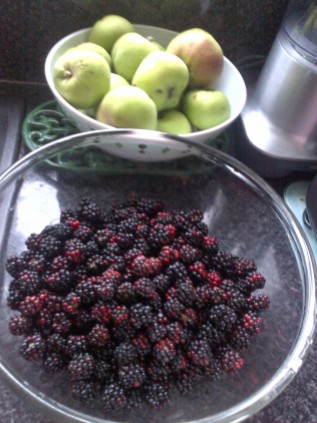These Blackberries were picked from behind our Allotment Shed,