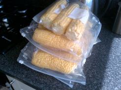 Freezing the sweetcorn from the allotments.