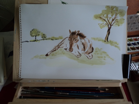 Quick sketch in watercolour of a foal
