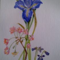 Iris with Blossom and Violets