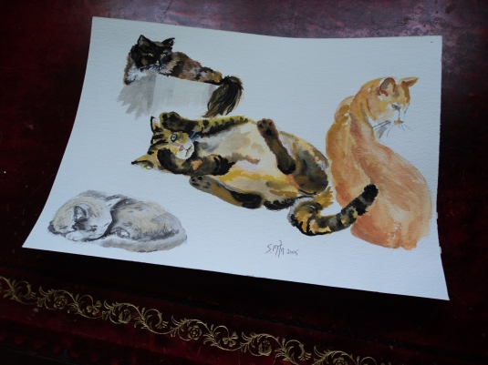 Watercolour Cat Moods Art by Sue