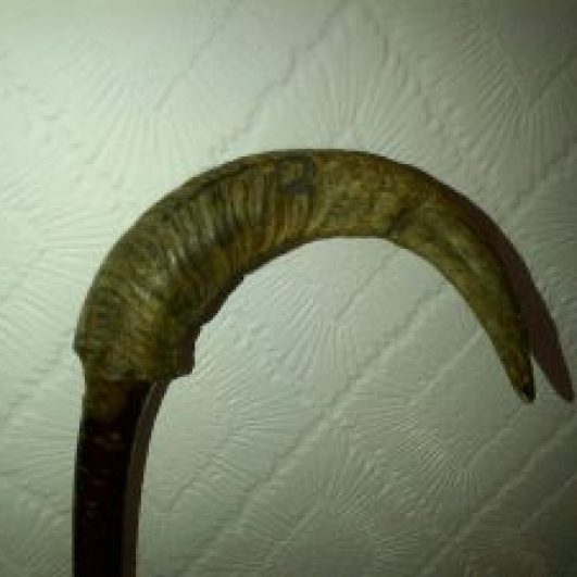 Walking stick with Rams horn handle. My Father Made.