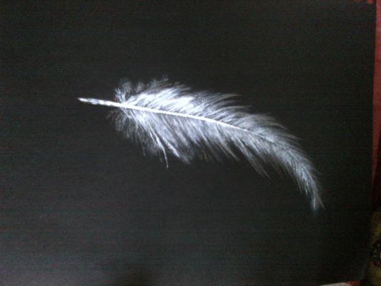 Feather 